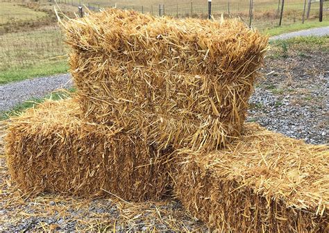 15 Bales Min 40 Bales Max 50 Delivery Fee. . Bales of straw for sale near me